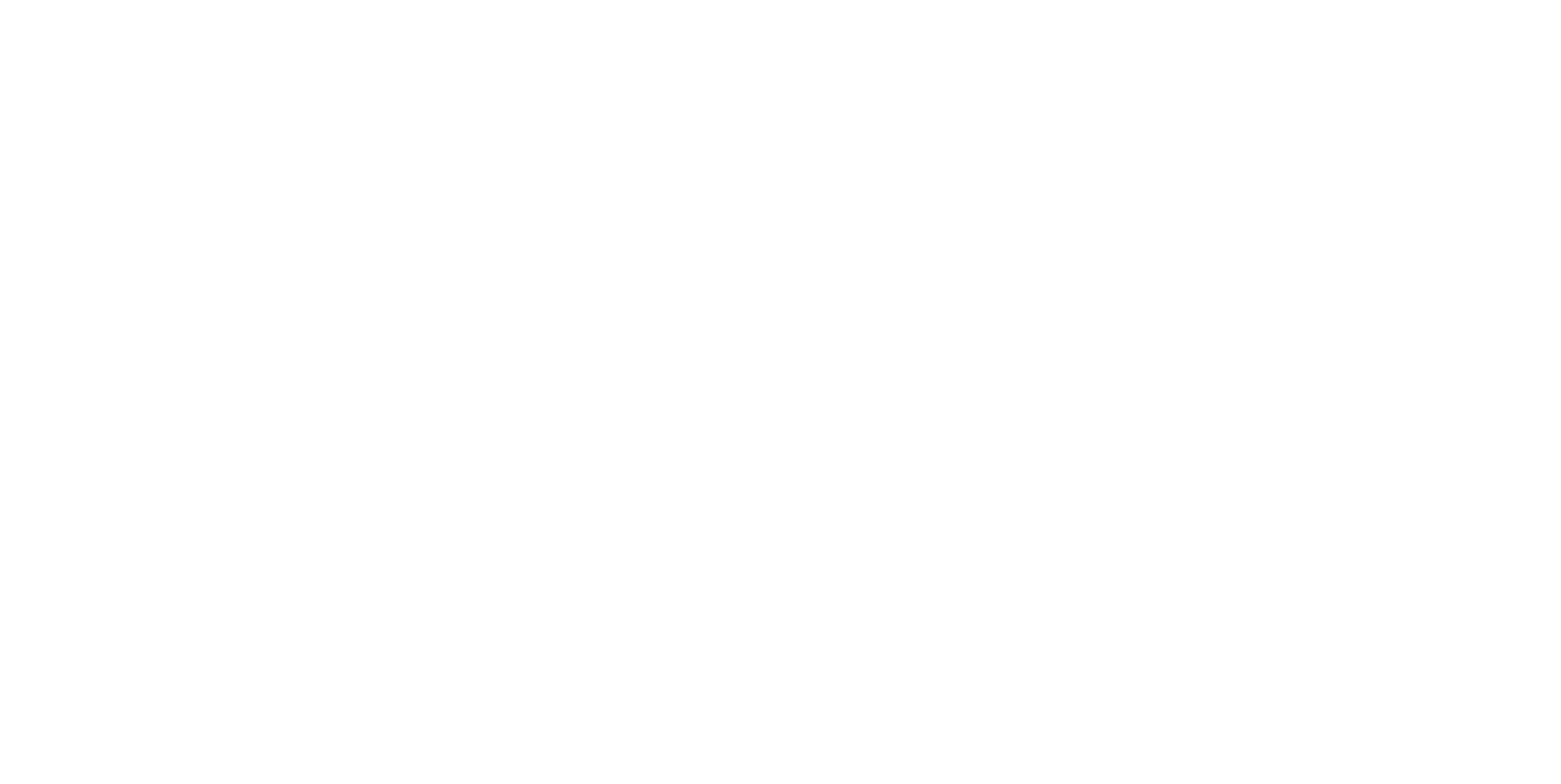 Fizjoners logo